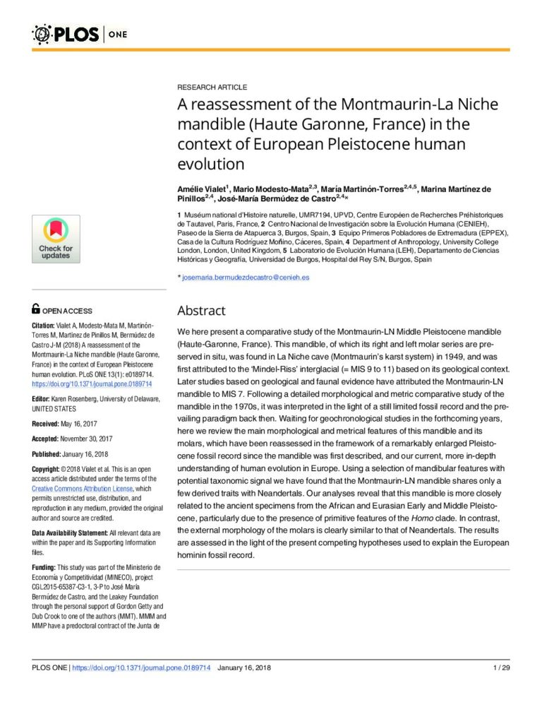 A reassessment of the Montmaurin-La Niche mandible (Haute Garonne, France) in the context of European Pleistocene human evolution