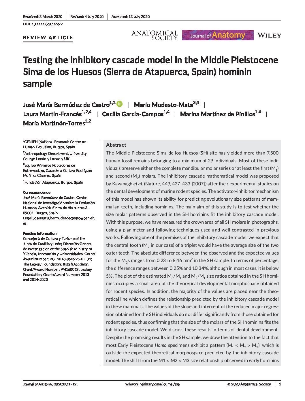 Testing the inhibitory cascade model in the Middle Pleistocene Sima de los Huesos (Sierra de Atapuerca, Spain) hominin sample
